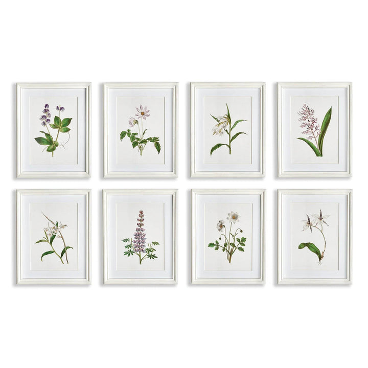 Eight lavender botanical prints in white frames, part of a classic cottage wall art set