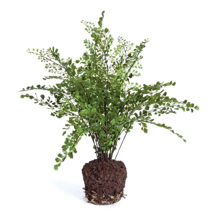 18-inch artificial maidenhair fern with green fronds and an exposed root ball, shown without a decorative pot. Transitional