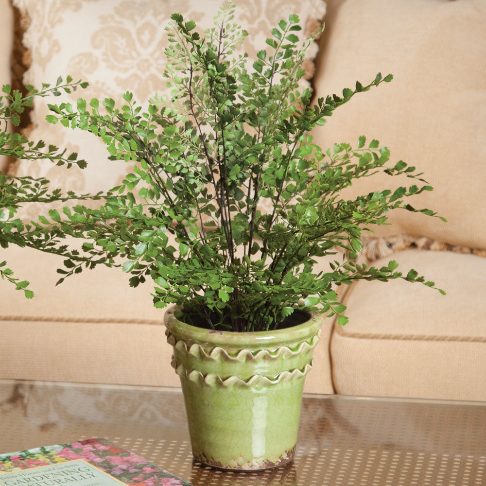18-inch artificial maidenhair fern displayed in a green decorative pot, with upright fronds and leafy stems. Transitional