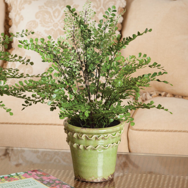 18-inch artificial maidenhair fern displayed in a green decorative pot, with upright fronds and leafy stems. Transitional
