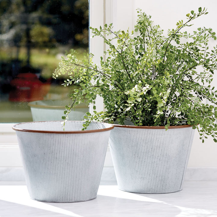23-inch artificial maidenhair fern in a pale ribbed planter beside an matching pot, with spreading foliage. Transitional