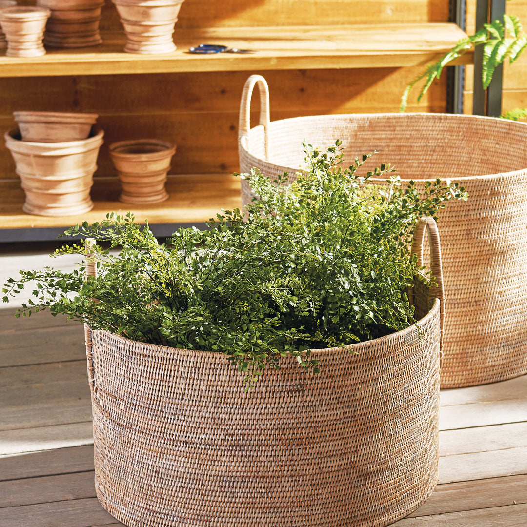 23-inch artificial maidenhair fern in a round woven basket beside coordinating baskets, with full green foliage. Transitional