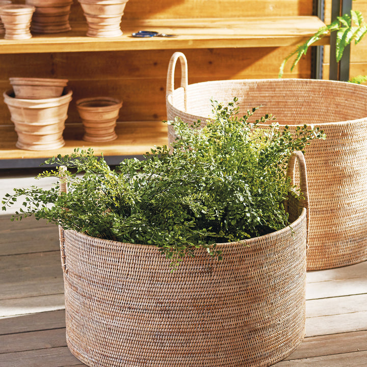 23-inch artificial maidenhair fern in a round woven basket beside coordinating baskets, with full green foliage. Transitional