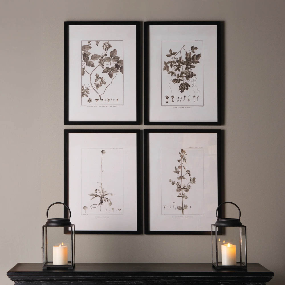 Modern classic gallery wall with four sepia botanical prints above a black mantel styled with lantern candles.


