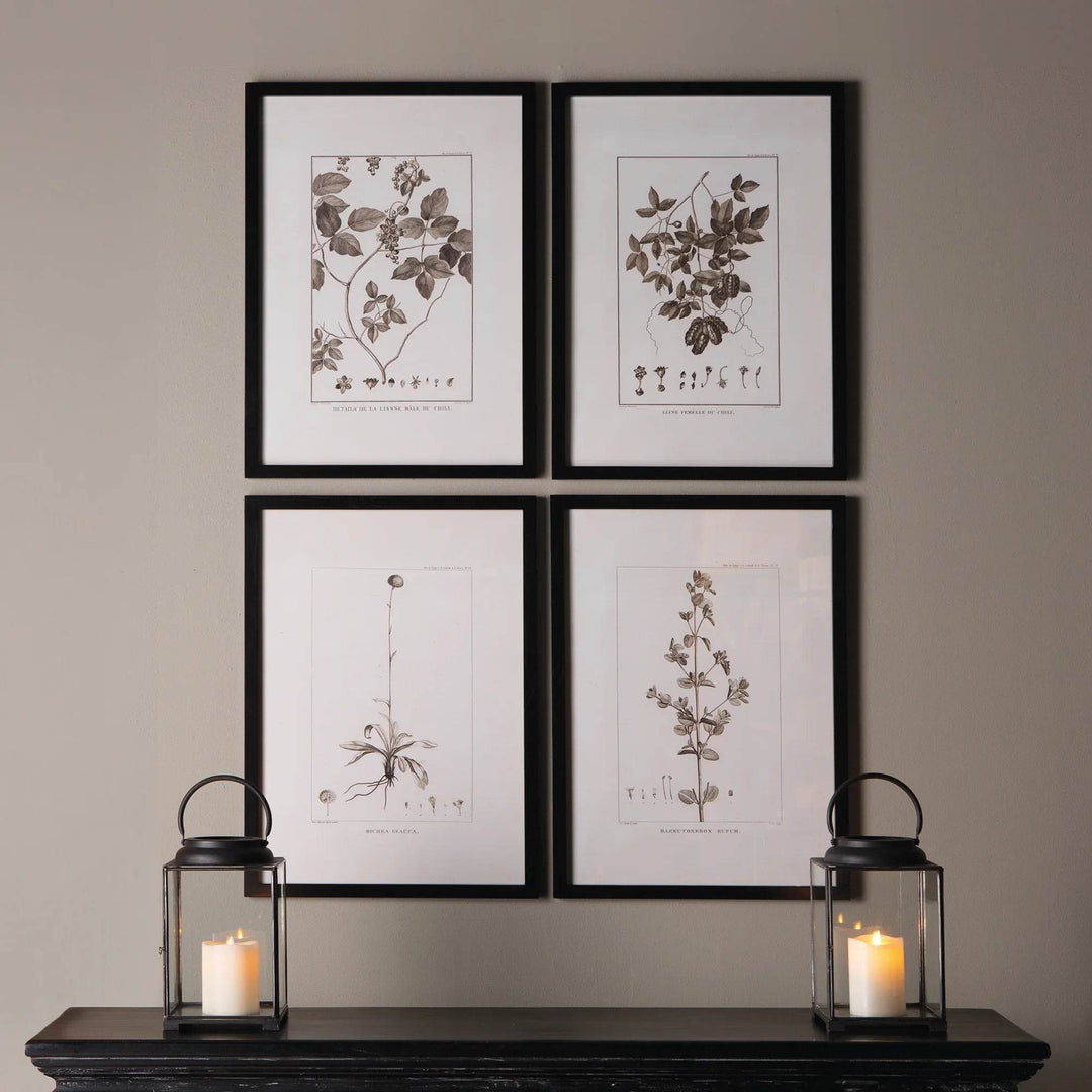 Modern classic gallery wall with four sepia botanical prints above a black mantel styled with lantern candles.

