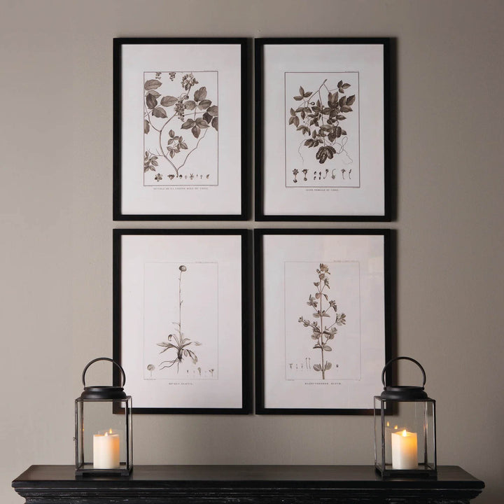 Modern classic gallery wall with four sepia botanical prints above a black mantel styled with lantern candles.

