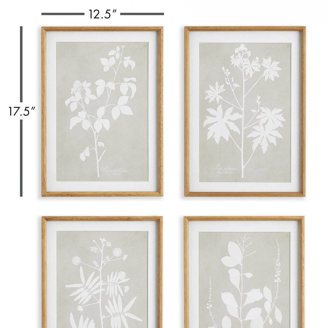 Wall art dimensions showing modern organic botanical prints in light wood frames.