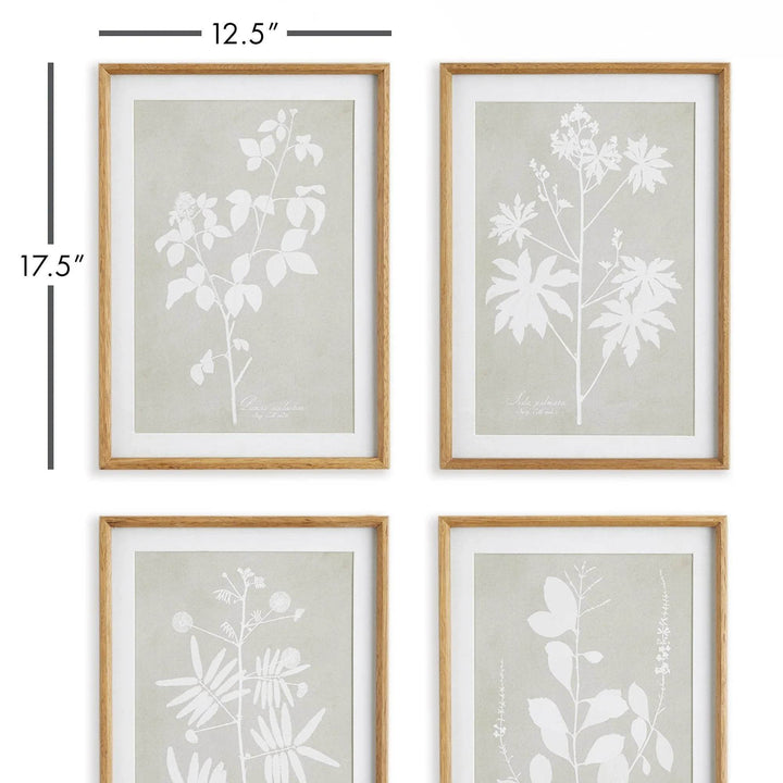 Wall art dimensions showing modern organic botanical prints in light wood frames.