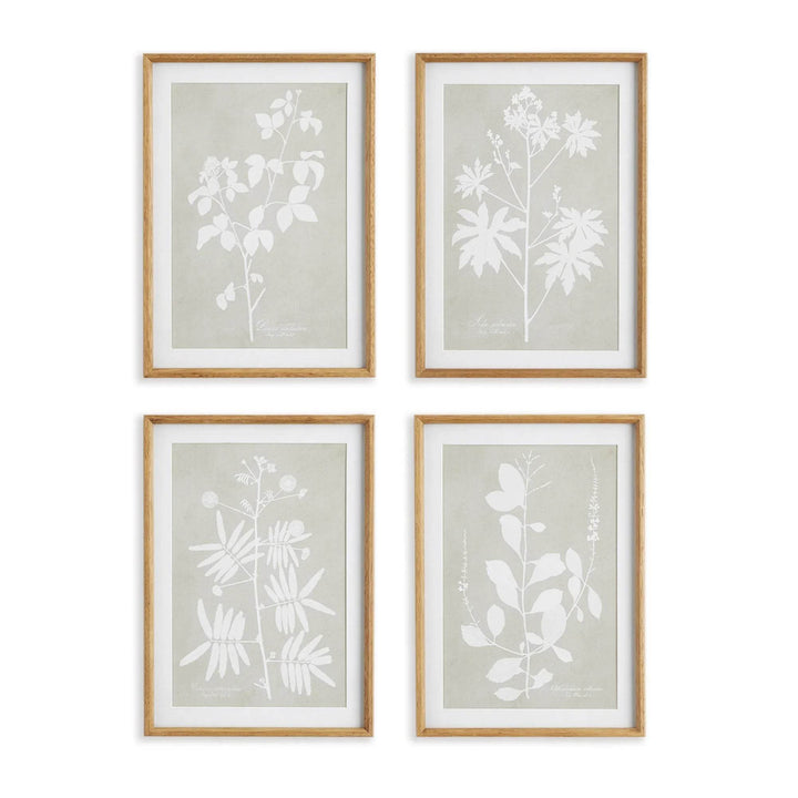  Modern organic framed botanical wall art set with white leaf silhouettes on taupe backgrounds.