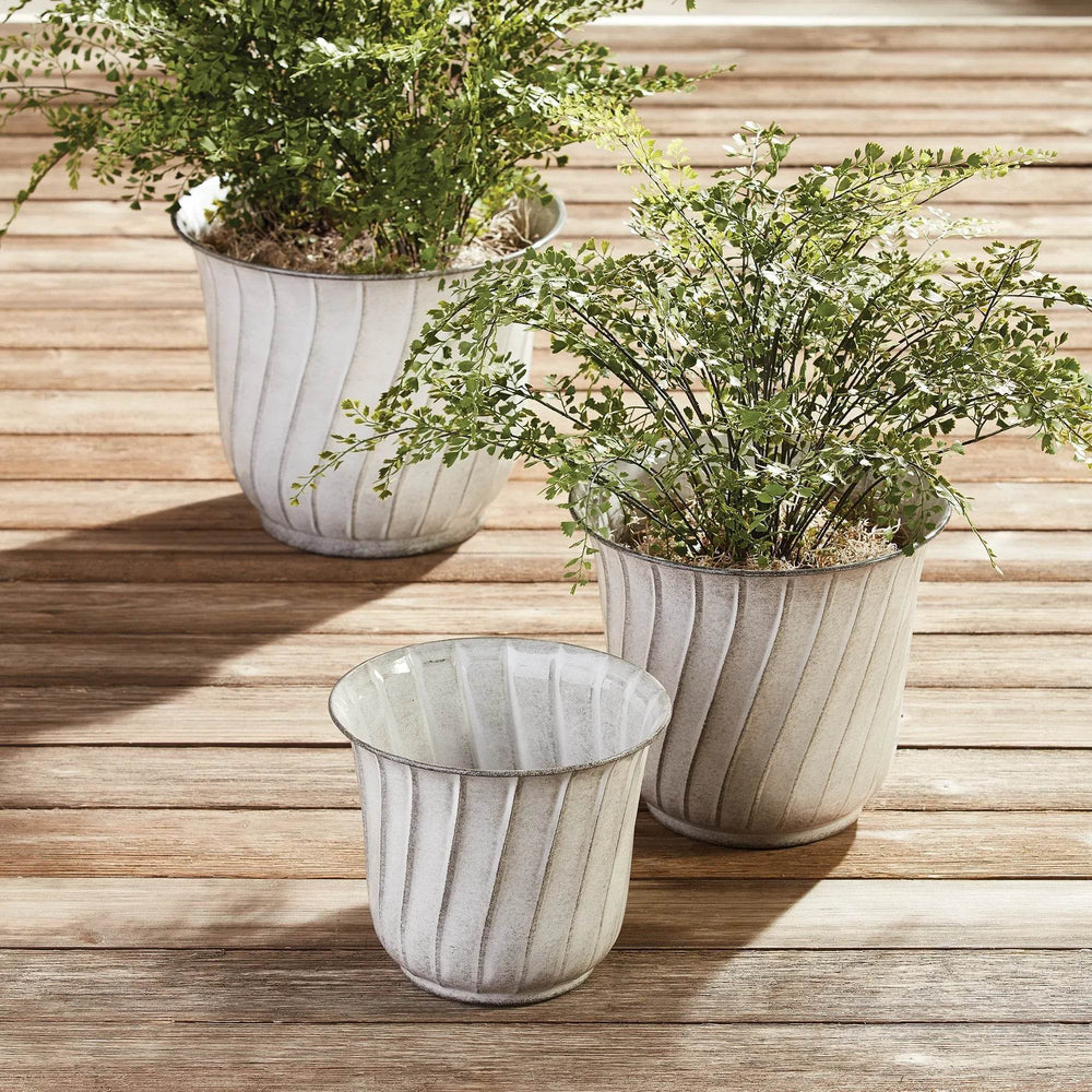 White ribbed metal planters with foliage arranged outdoors on patio decking, ideal for modern organic styling.