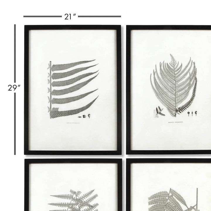 Close-up of a black-framed monochrome fern print, showing detailed grayscale illustration and naturalist-inspired composition.