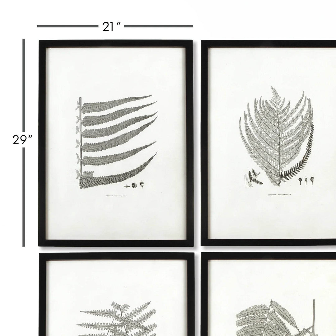 Close-up of a black-framed monochrome fern print, showing detailed grayscale illustration and naturalist-inspired composition.