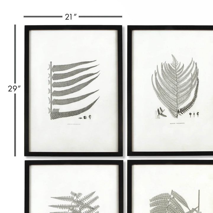 Close-up of a black-framed monochrome fern print, showing detailed grayscale illustration and naturalist-inspired composition.