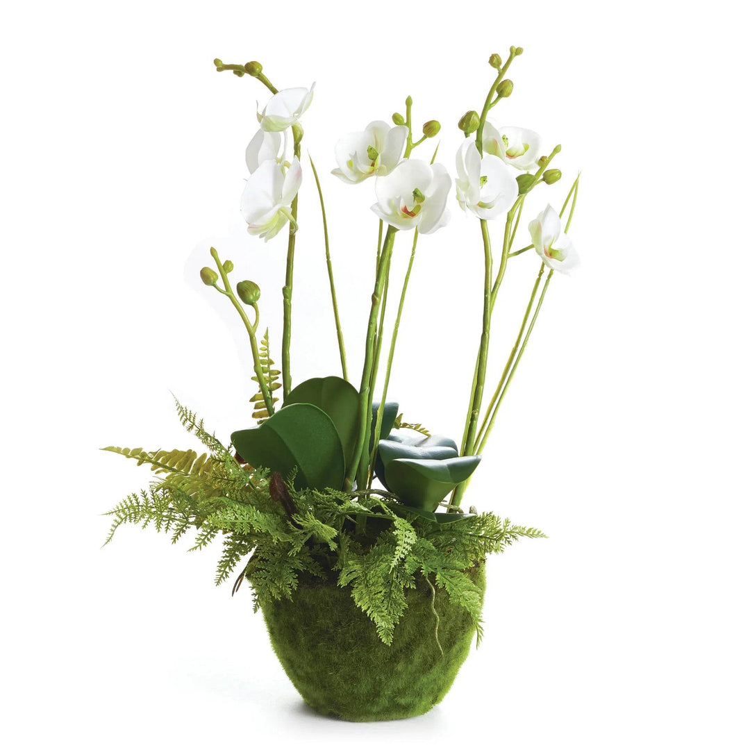 Realistic moth orchid and fern artificial plant in mossy green pot, 18 inch tall faux floral arrangement for home decor.


