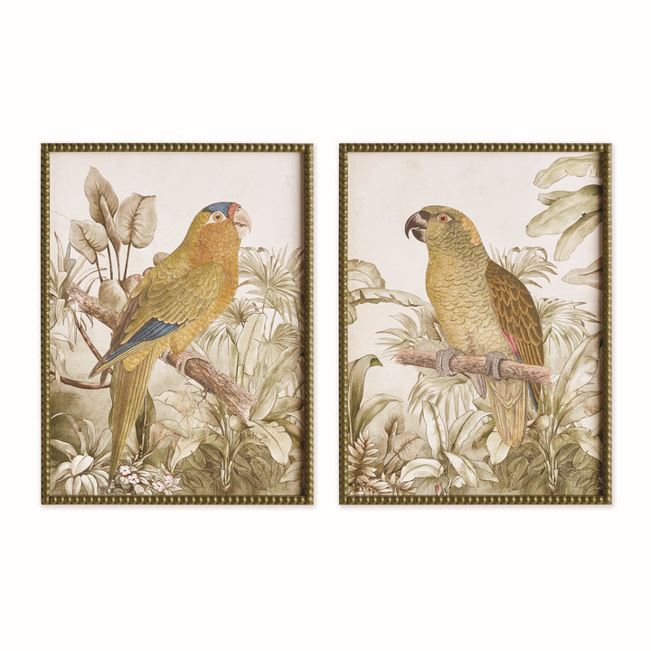 Two tropical parrot prints with green and ochre birds, leafy backgrounds and olive green beaded frame edges. Traditional