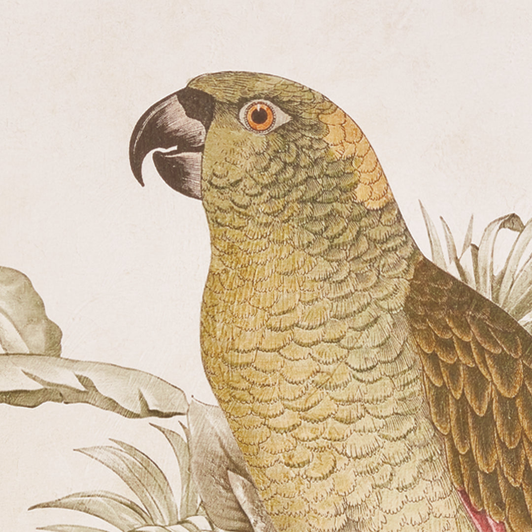 Close detail of a tropical parrot print showing green-ochre bird, curved dark beak and layered feather patterns. Traditional
