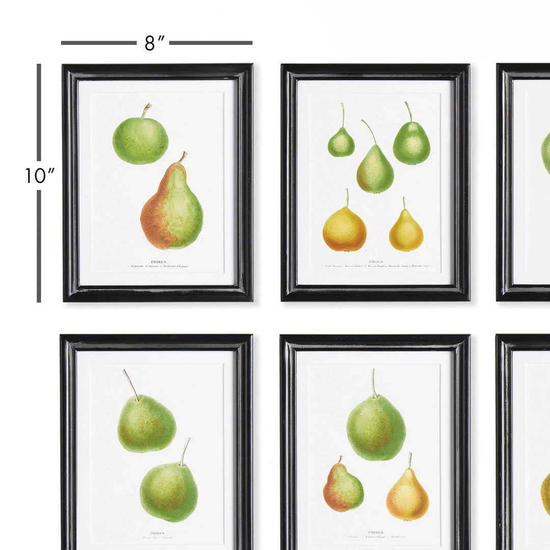 Close-up of framed pear prints showing 8 by 10 inch size with black frames and white mats – Vintage Botanical.