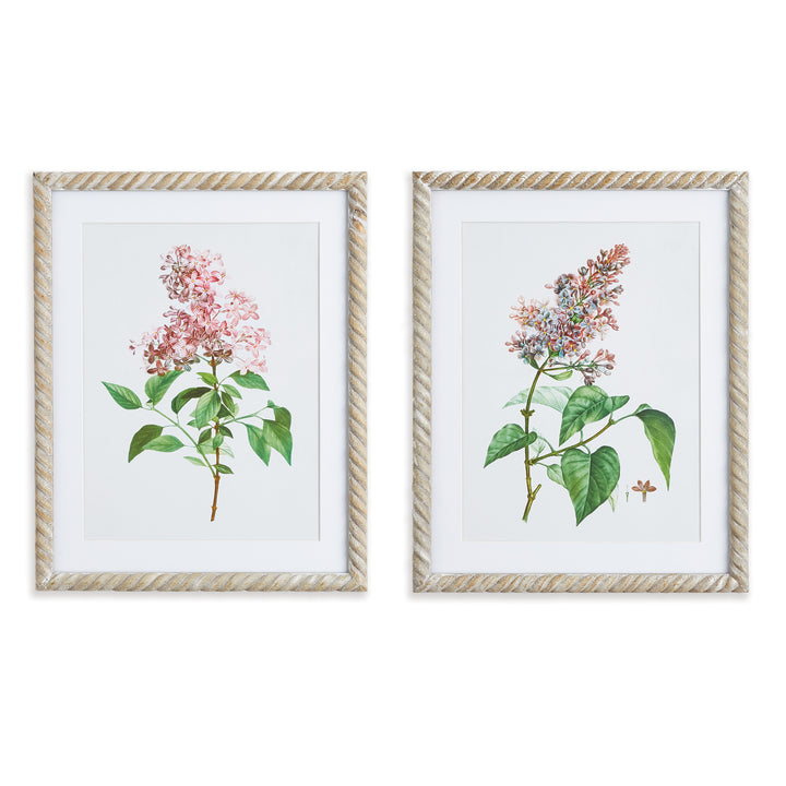 Pair of framed lilac botanical prints with pink flowers and green leaves, shown with mats and textured frames, Traditional