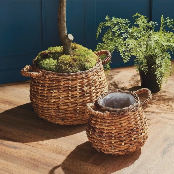 Video showing abaca basket planters set of two with plastic liners, woven natural fiber texture and indoor plant styling - Modern Organic.