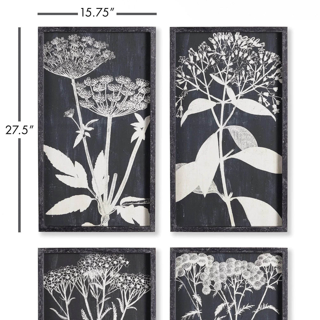 Sizing guide of Queen Anne’s Lace minimalist botanical wall prints, each framed in black with white floral silhouette detail.