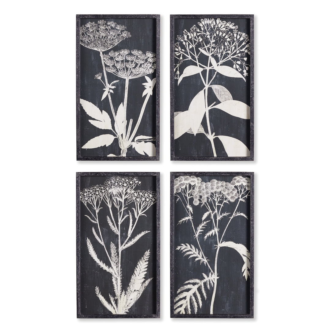 Set of four Queen Anne’s Lace wall prints in minimalist botanical style, arranged vertically in monochrome black and white.

