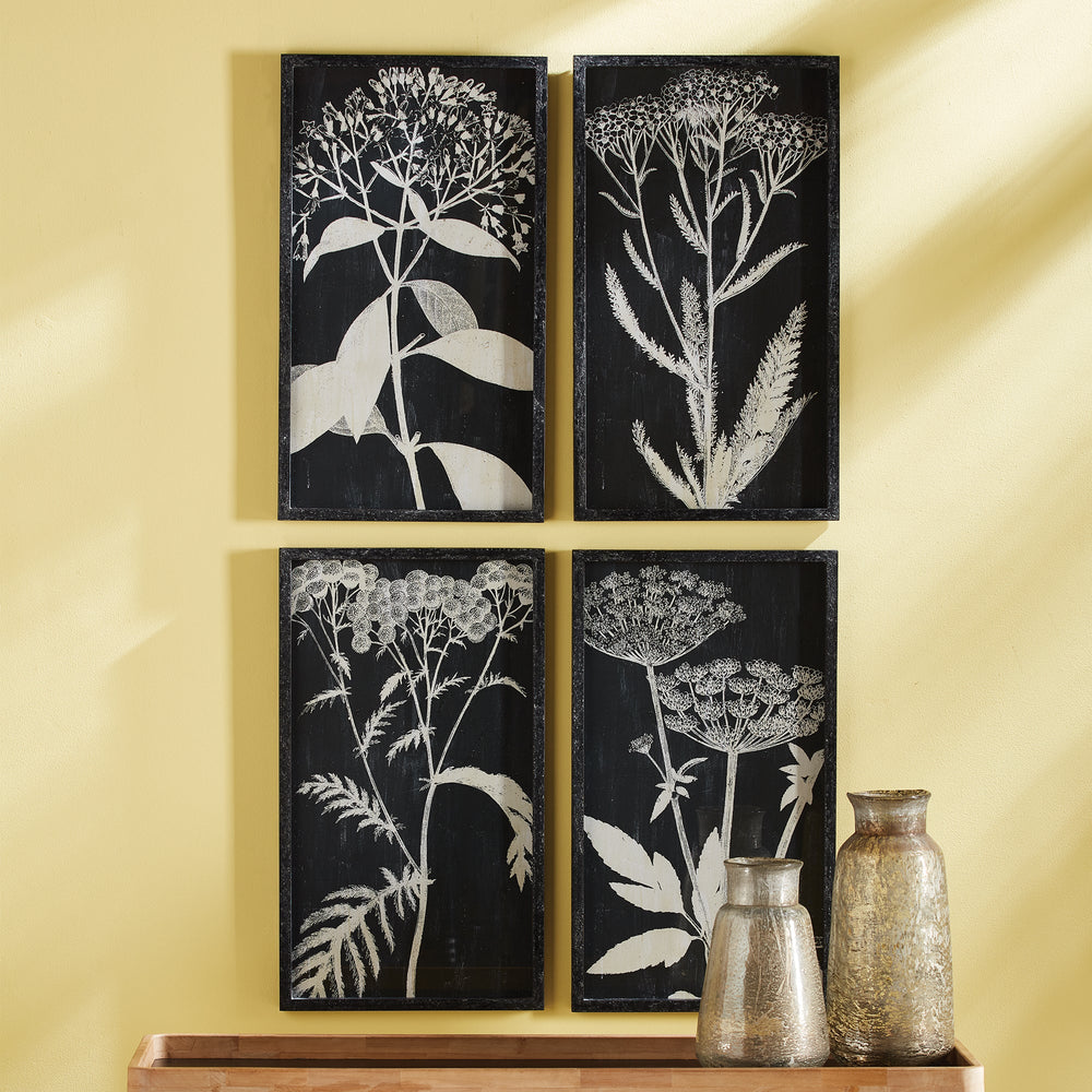 Queen Anne’s Lace wall decor set shown in gallery-style arrangement with minimalist black frames and botanical silhouettes.