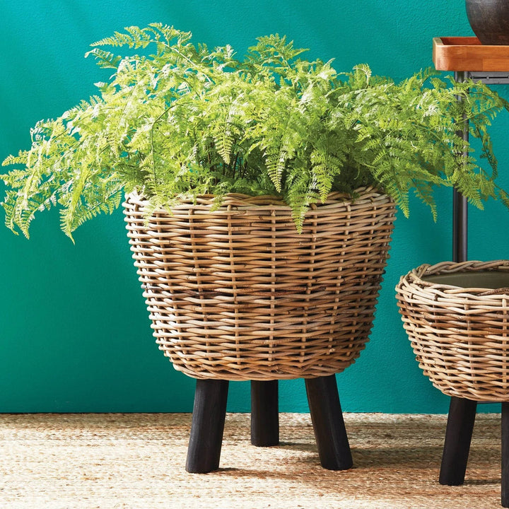 Large and small rattan planters with greenery, styled against a teal wall for natural boho accents