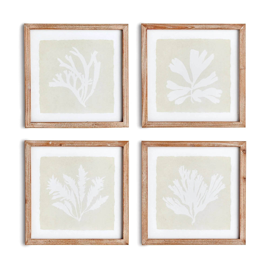 Grid layout of four coastal seaweed prints with white mats and wooden frames on neutral wall – Coastal Cottage

