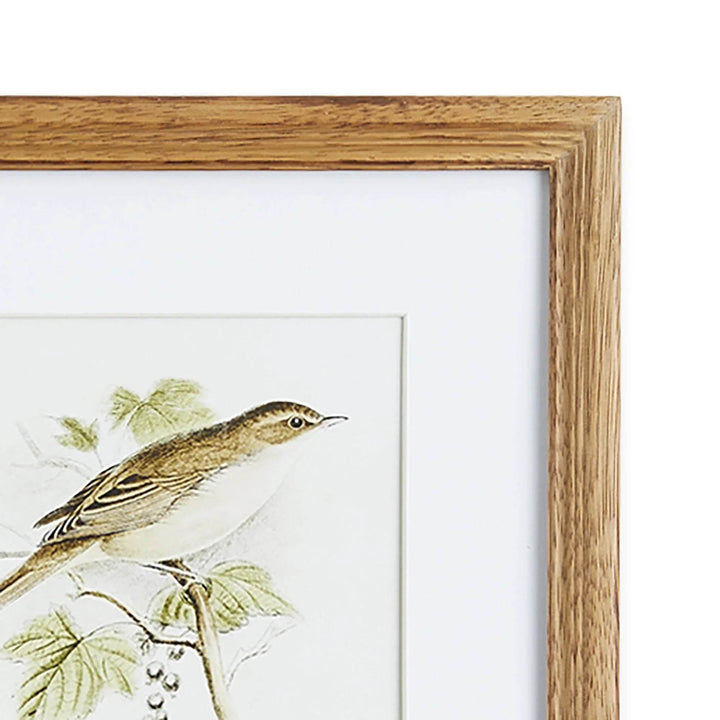Detailed view of sepia bird illustration with oak frame and white mat