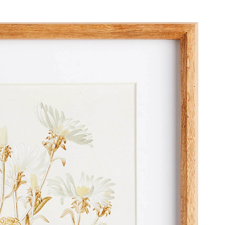 Close-up of sepia botanical illustration with white mat and natural wood frame, highlighting linework and detail.
