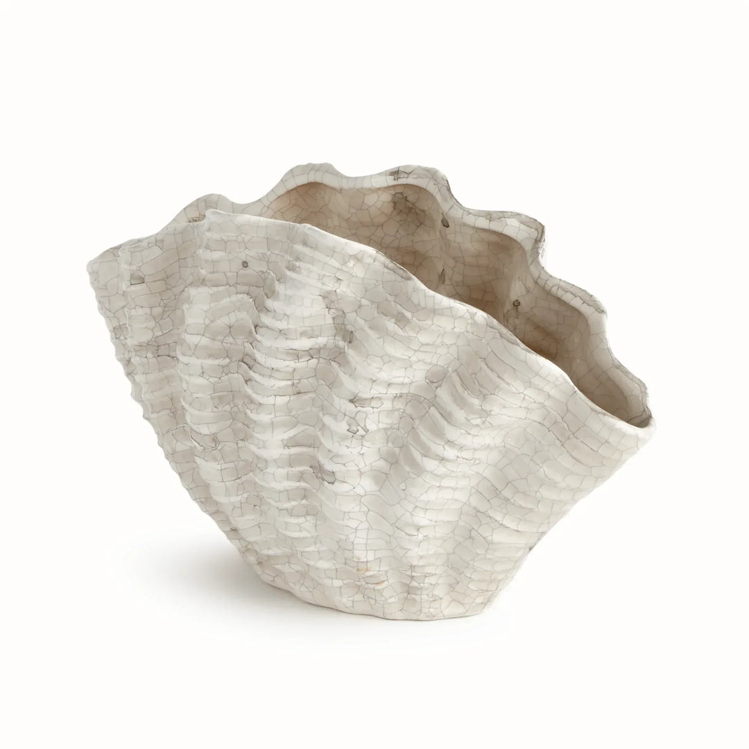 Small cream clay shell vase with a scalloped opening and ribbed curved body, shown against plain white, Coastal Transitional
