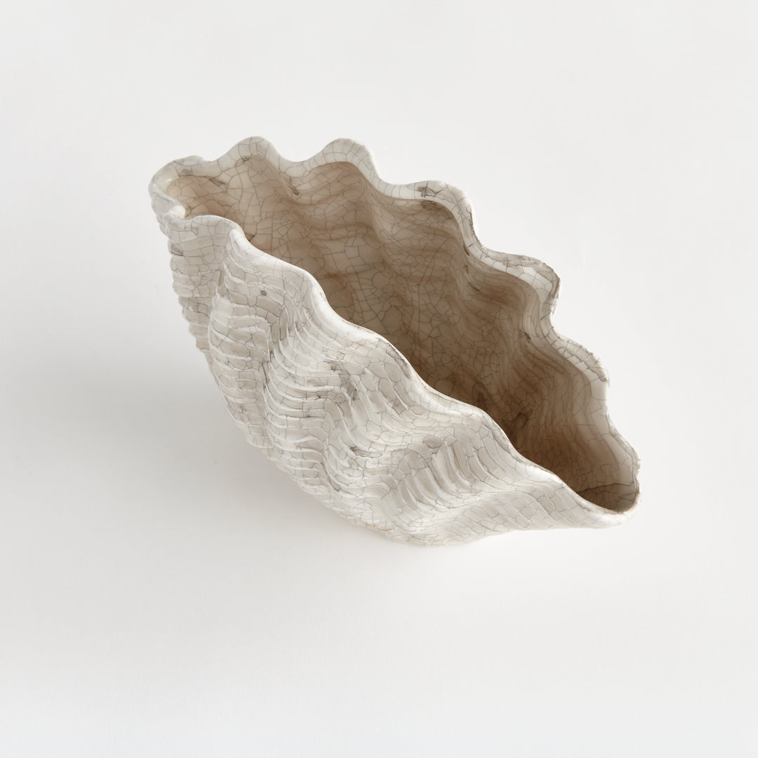 Angled view into a small cream shell vase showing its scalloped rim and textured interior against white, Coastal Transitional