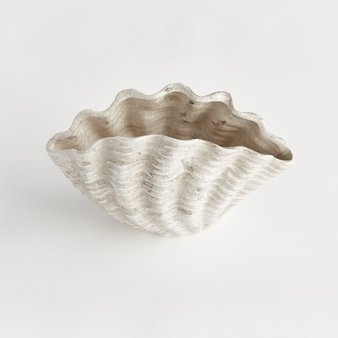 Front view of a small cream shell vase with a flared scalloped rim and ribbed curved body on white, Coastal Transitional