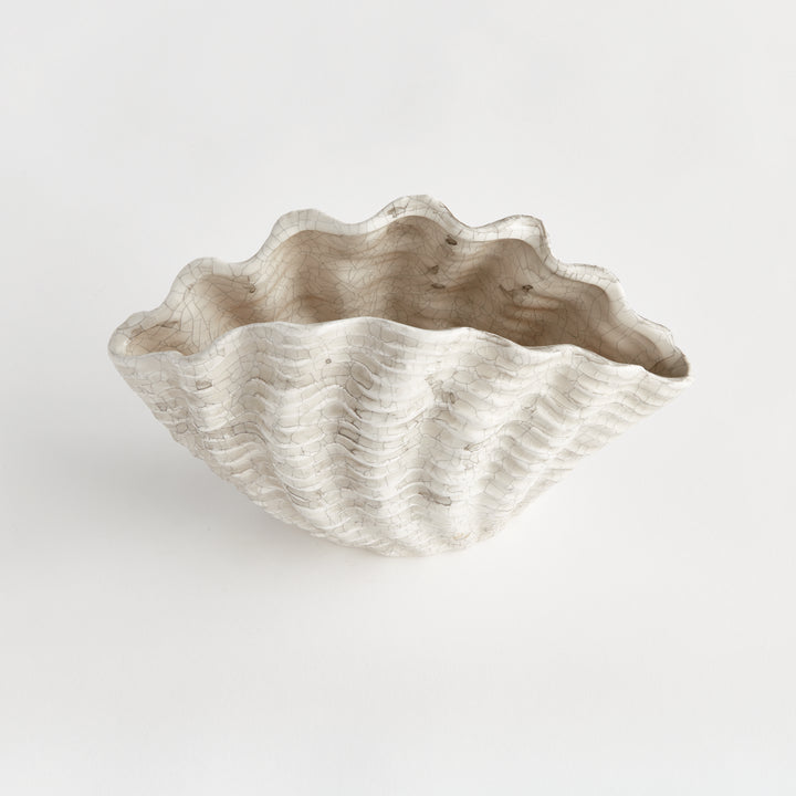 Front view of a small cream shell vase with a flared scalloped rim and ribbed curved body on white, Coastal Transitional