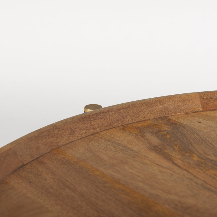 Detailed view of the solid mango wood tabletop highlighting natural grain variation and handcrafted finish, Modern Organic coffee table