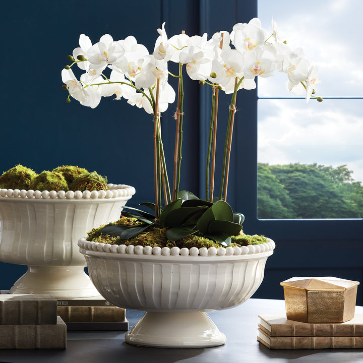 Two white ceramic footed bowls styled with orchids and moss in refined transitional setting