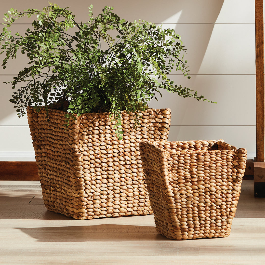 Tamsin tapered basket pair on a floor with leafy stems in the larger basket beside wood furniture and white paneling. Coastal