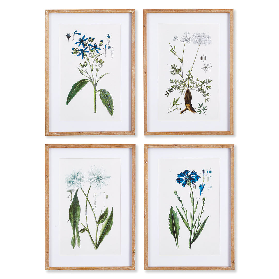 Set of 4 framed blue and white traditional coastal botanical wall prints arranged in grid layout.