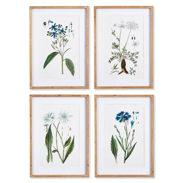 Set of 4 framed blue and white traditional coastal botanical wall prints arranged in grid layout.