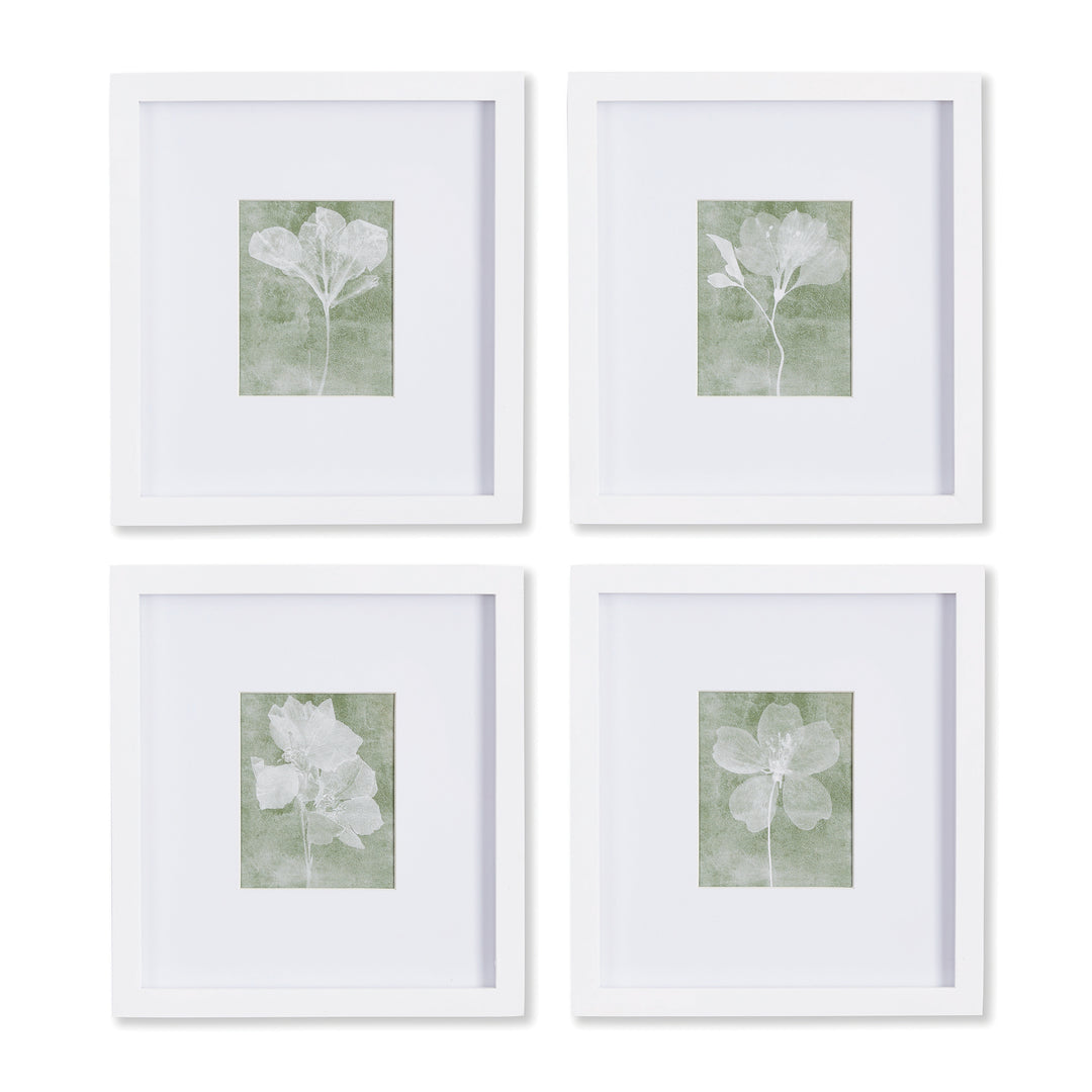 Set of four translucent green and white floral prints in white frames styled in grid layout
