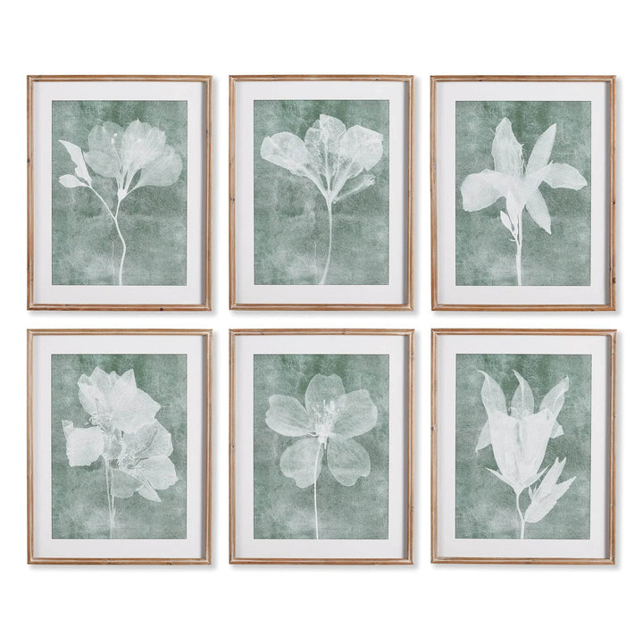 Set of six translucent floral prints in soft green tones with wood frames, transitional nature-inspired wall art