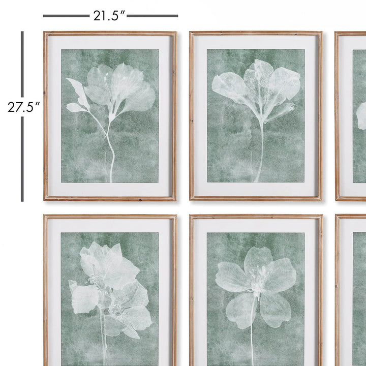  Dimensions of translucent floral wall art set with white frames, 21.5 by 27.5 inches per piece