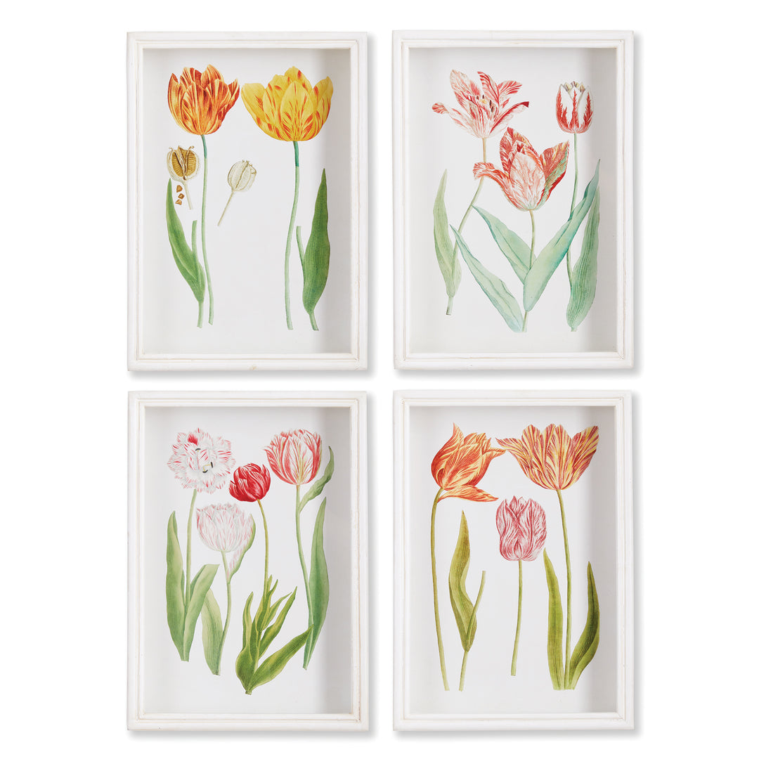 Full set of four tulip watercolor prints with white frames and mats, arranged in grid layout on white background – Cottage Garden

