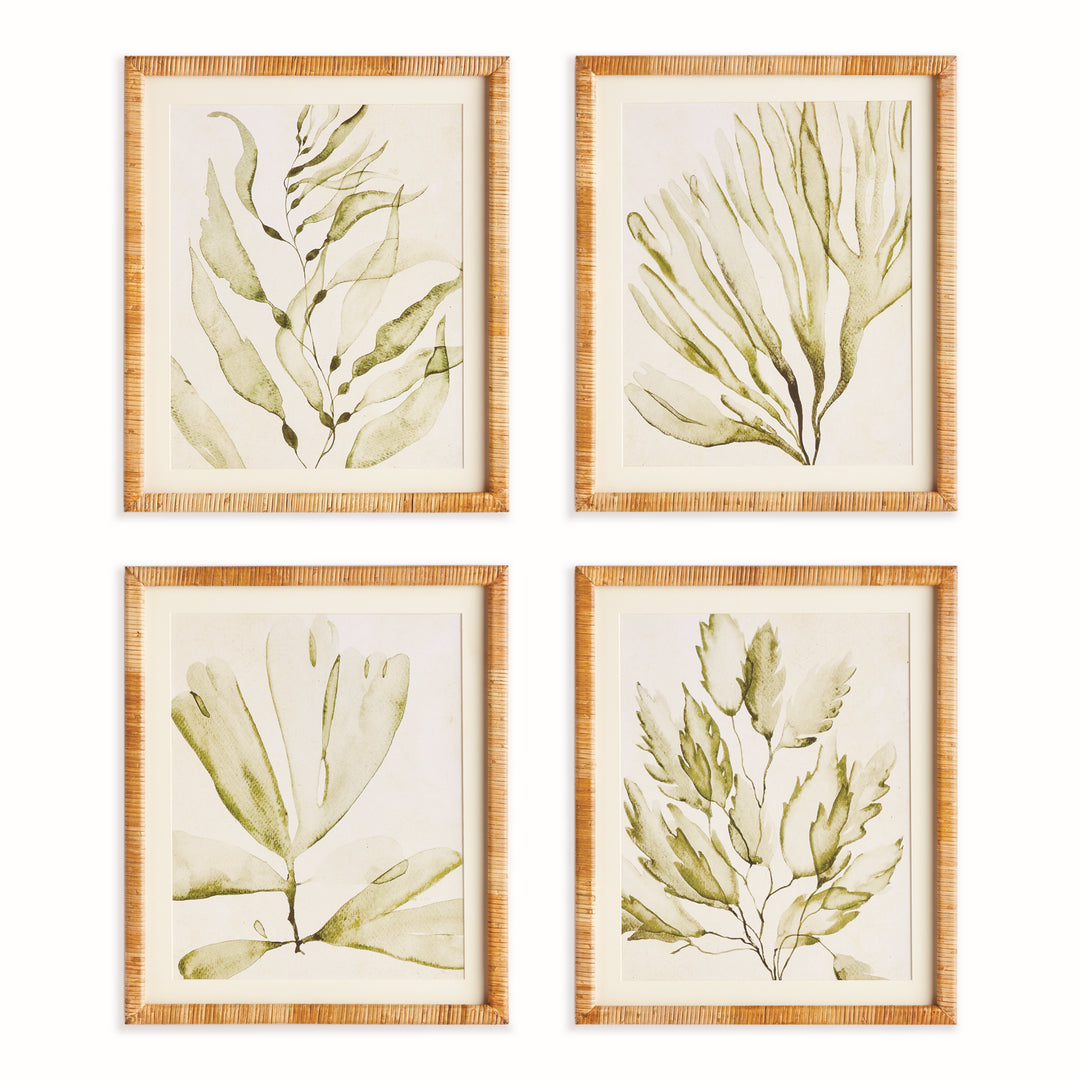 Four green coastal botanical prints arranged in a neat grid, with ivory mats and rattan-wrapped rectangular frames. Coastal