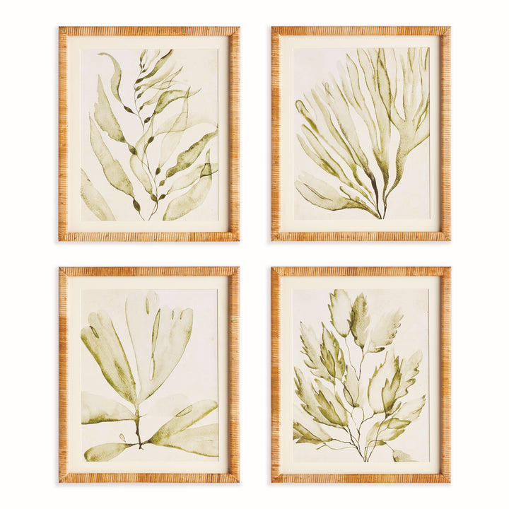 Four green coastal botanical prints arranged in a neat grid, with ivory mats and rattan-wrapped rectangular frames. Coastal