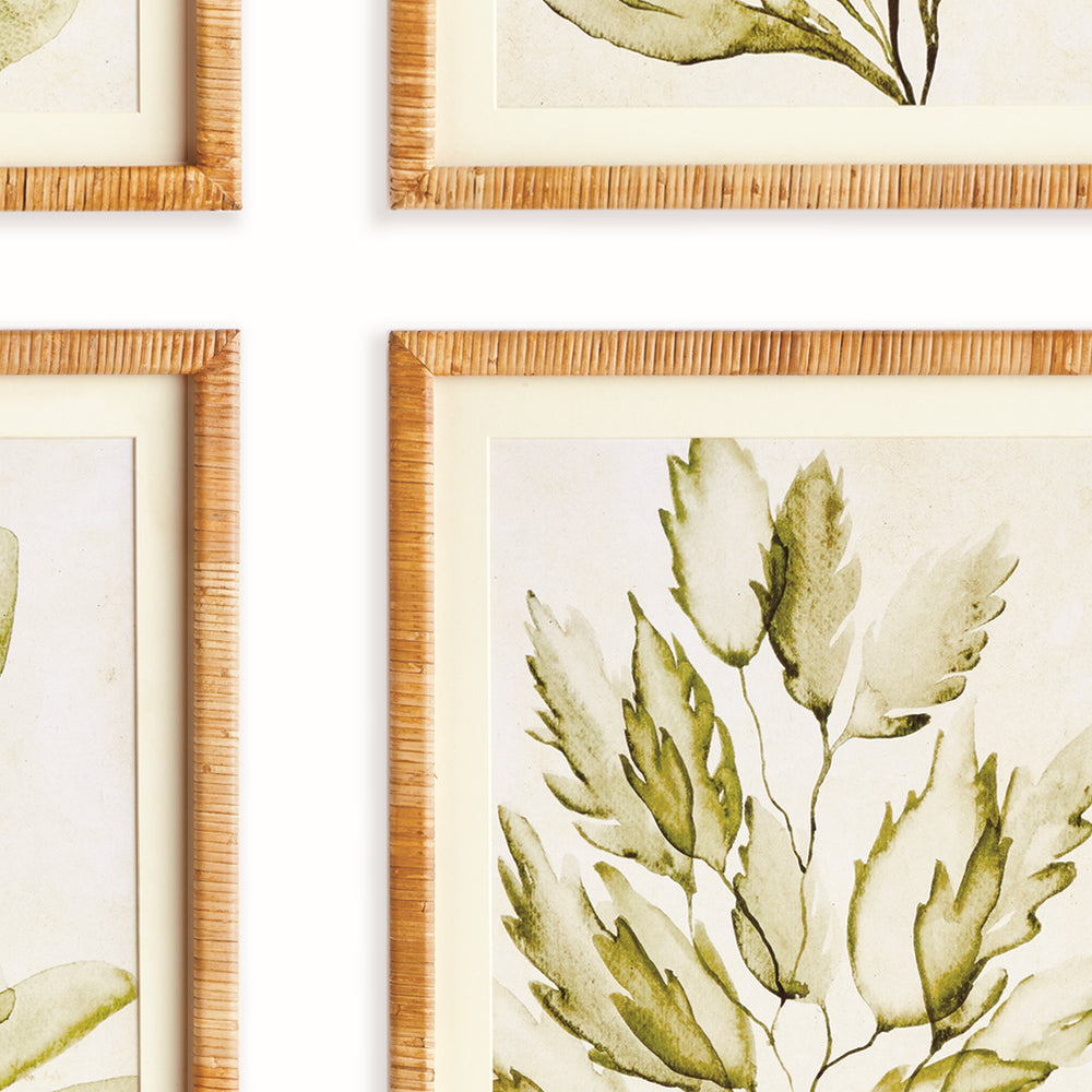 Close view of green coastal botanical prints showing pale backgrounds, ivory mats and natural rattan-wrapped frames. Coastal