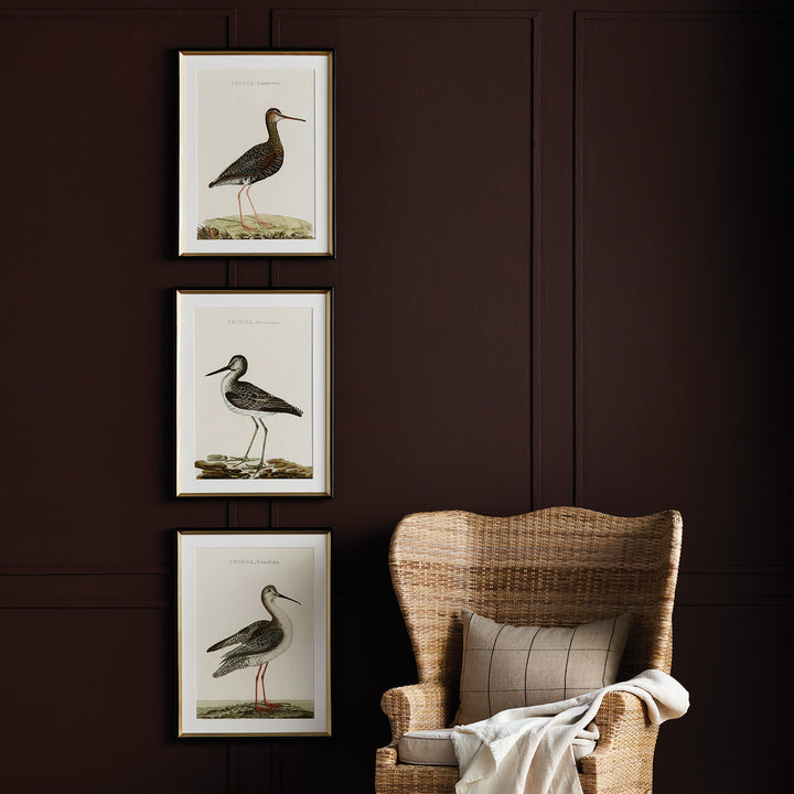Vertical gallery wall of framed bird study prints styled above a rattan chair, showing scale and transitional styling – Coastal Transitional