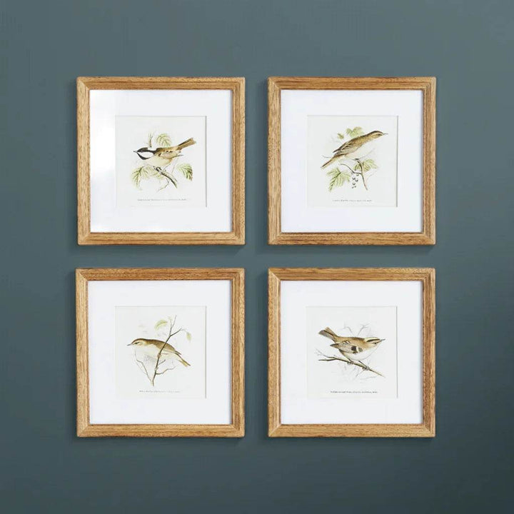 Sepia bird artwork displayed in a square grid on a dark wall