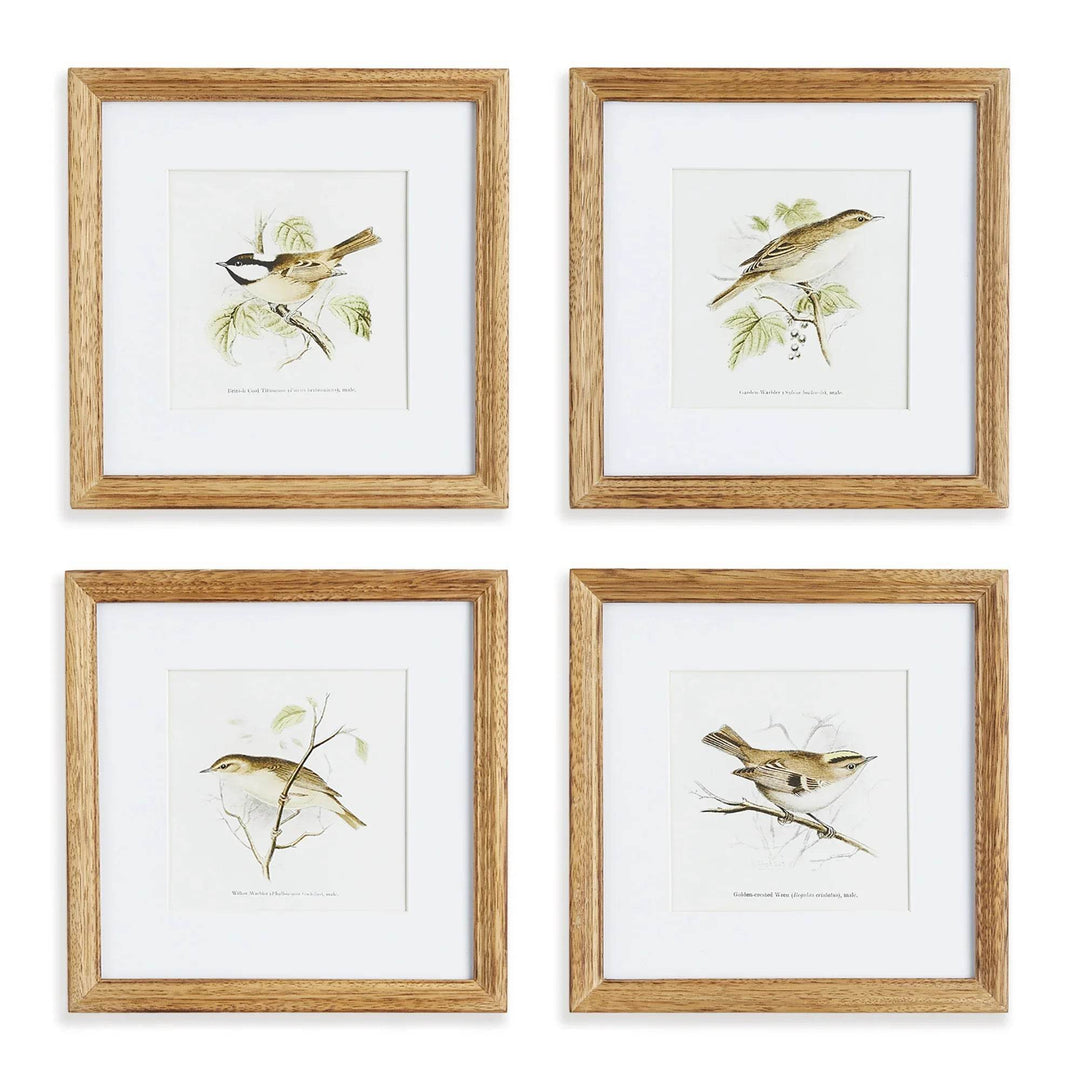 Sepia-toned vintage bird wall art prints in natural wood frames, set of 4