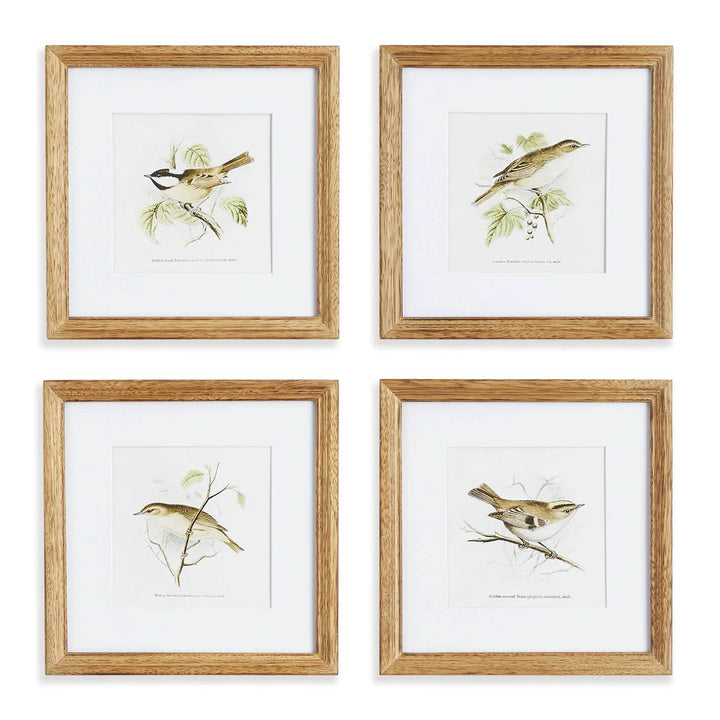 Sepia-toned vintage bird wall art prints in natural wood frames, set of 4